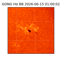 gong - 2026-06-15T01:00:02