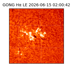 gong - 2026-06-15T02:00:42