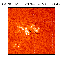 gong - 2026-06-15T03:00:42