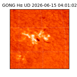 gong - 2026-06-15T04:01:02