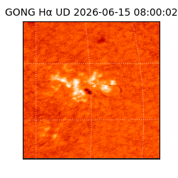 gong - 2026-06-15T08:00:02