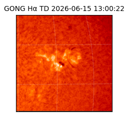 gong - 2026-06-15T13:00:22