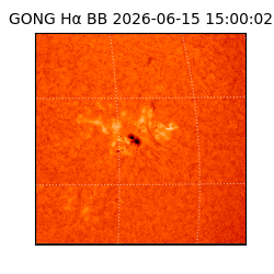 gong - 2026-06-15T15:00:02