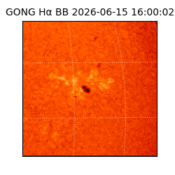gong - 2026-06-15T16:00:02