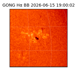 gong - 2026-06-15T19:00:02
