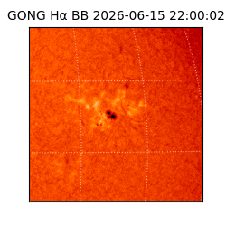 gong - 2026-06-15T22:00:02