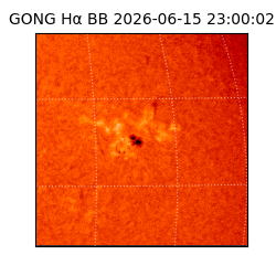 gong - 2026-06-15T23:00:02