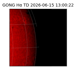 gong - 2026-06-15T13:00:22