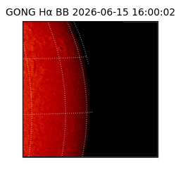 gong - 2026-06-15T16:00:02
