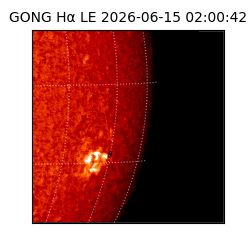gong - 2026-06-15T02:00:42