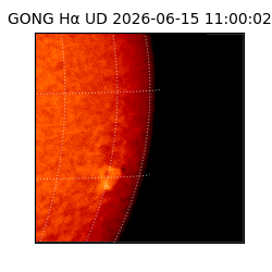 gong - 2026-06-15T11:00:02