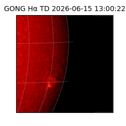 gong - 2026-06-15T13:00:22