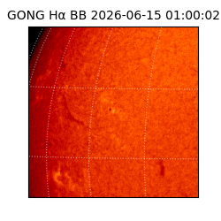 gong - 2026-06-15T01:00:02