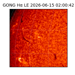 gong - 2026-06-15T02:00:42