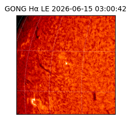 gong - 2026-06-15T03:00:42
