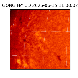 gong - 2026-06-15T11:00:02
