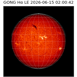 gong - 2026-06-15T02:00:42
