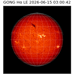 gong - 2026-06-15T03:00:42