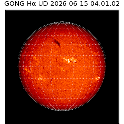 gong - 2026-06-15T04:01:02