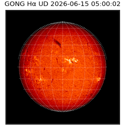 gong - 2026-06-15T05:00:02
