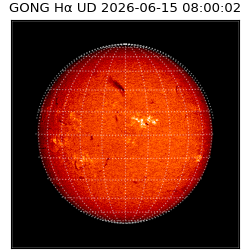 gong - 2026-06-15T08:00:02