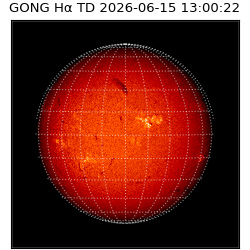gong - 2026-06-15T13:00:22