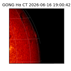 gong - 2026-06-16T19:00:42