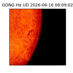 gong - 2026-06-16T08:09:02