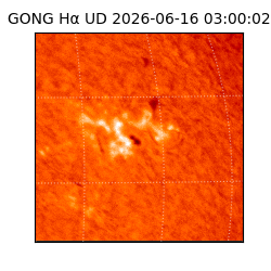gong - 2026-06-16T03:00:02