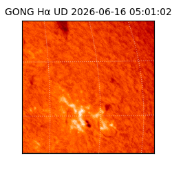 gong - 2026-06-16T05:01:02