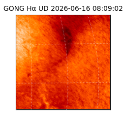 gong - 2026-06-16T08:09:02