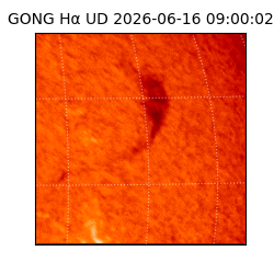 gong - 2026-06-16T09:00:02