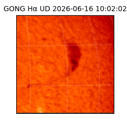gong - 2026-06-16T10:02:02
