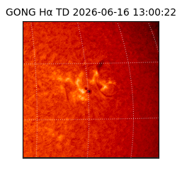 gong - 2026-06-16T13:00:22