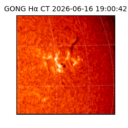 gong - 2026-06-16T19:00:42