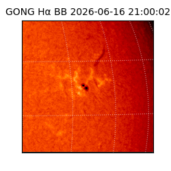gong - 2026-06-16T21:00:02