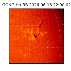 gong - 2026-06-16T22:00:02