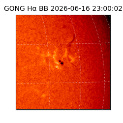 gong - 2026-06-16T23:00:02