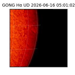 gong - 2026-06-16T05:01:02