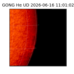 gong - 2026-06-16T11:01:02