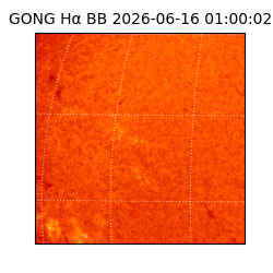 gong - 2026-06-16T01:00:02