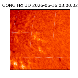 gong - 2026-06-16T03:00:02