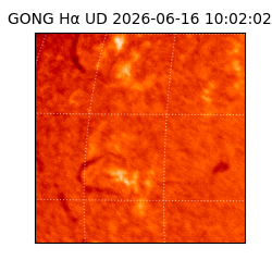 gong - 2026-06-16T10:02:02