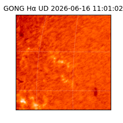 gong - 2026-06-16T11:01:02