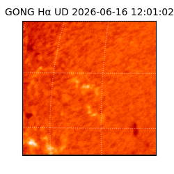 gong - 2026-06-16T12:01:02