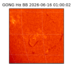 gong - 2026-06-16T01:00:02