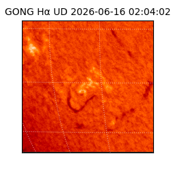 gong - 2026-06-16T02:04:02