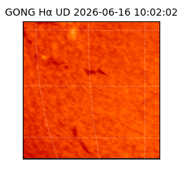gong - 2026-06-16T10:02:02