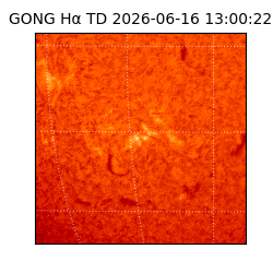 gong - 2026-06-16T13:00:22