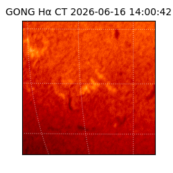 gong - 2026-06-16T14:00:42